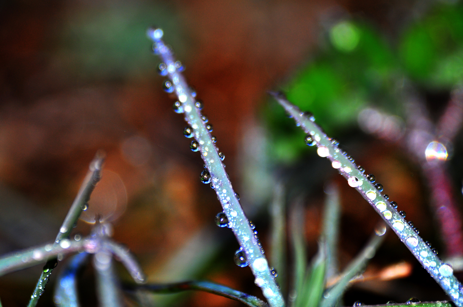 waterdroplets