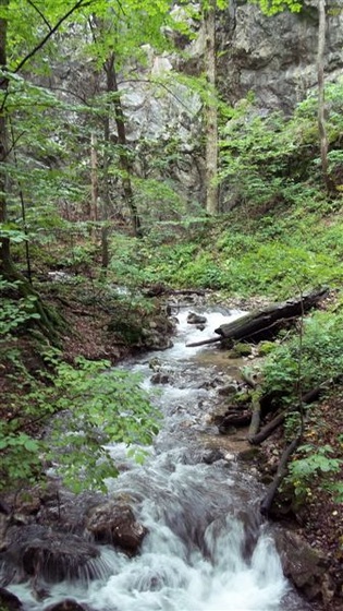 Szlovákia 2011 335