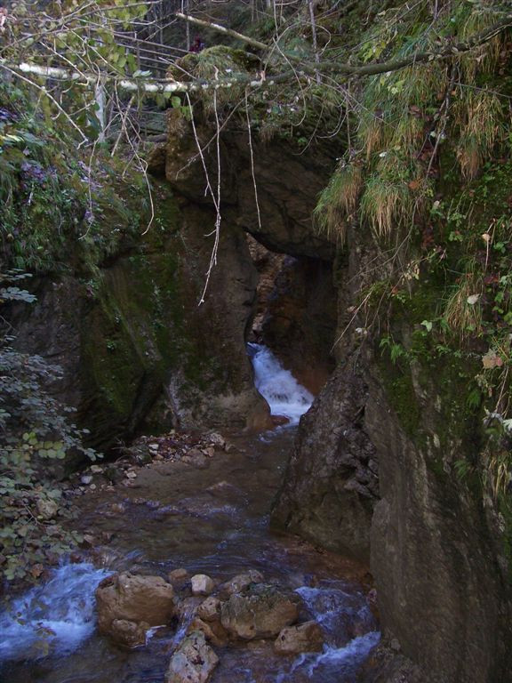 Medveölő-szurdok