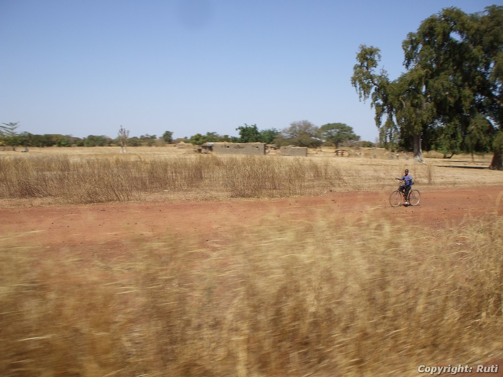 Bamako 567