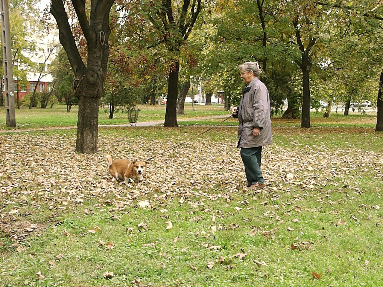 Kutya és gazdája a Béke téren 2007.10.11.02