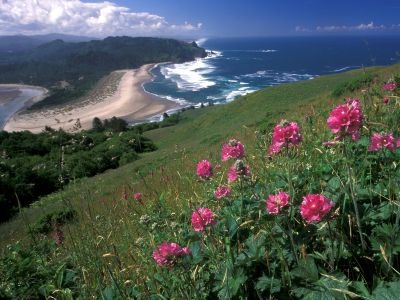 normal Cascade Head, Oregon