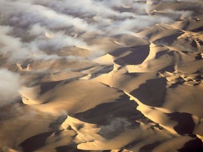 normal Fogline, Namib Desert, Namibia, Africa