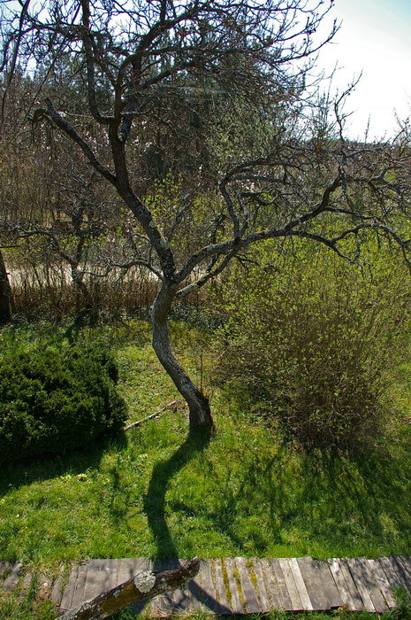 Varetto Porta, Őrvidék, Őriszentpéter, Galambszer