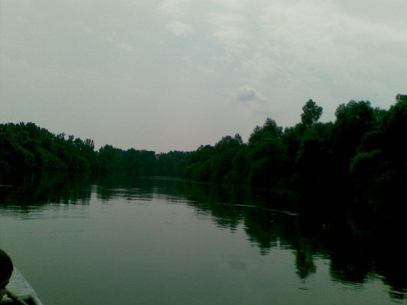 Tisza020