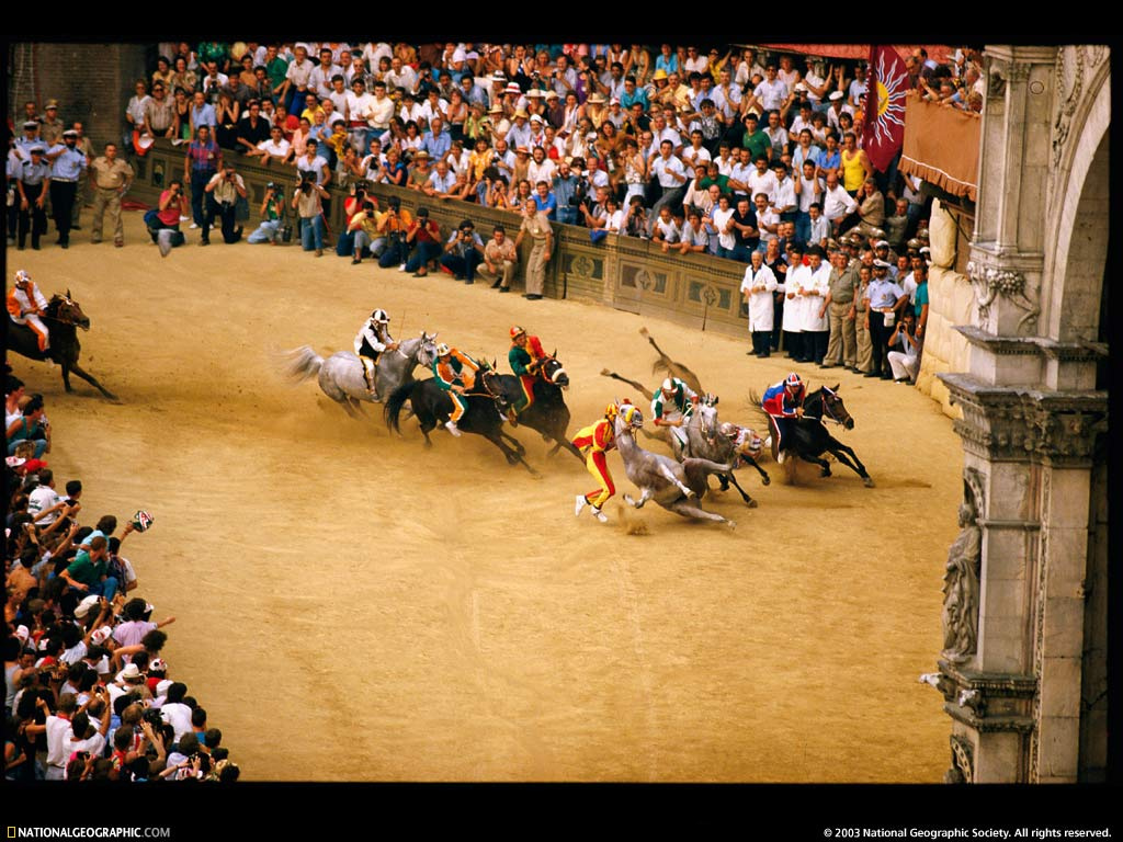 palio-horse-race-