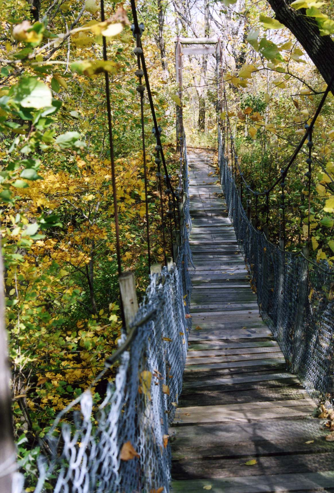 TB 5 - Suspension Bridge