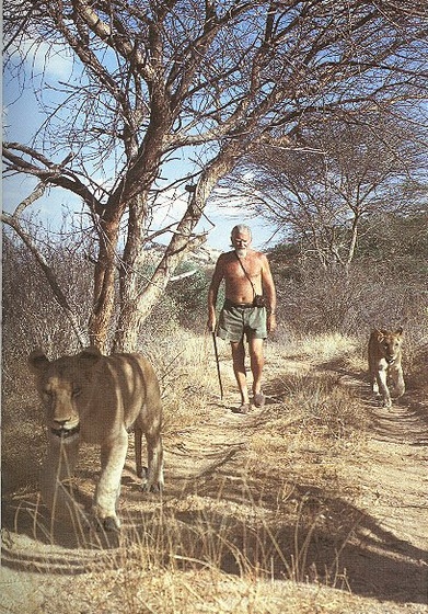 GeorgeAdamson 2Lions Walking 600 Cr