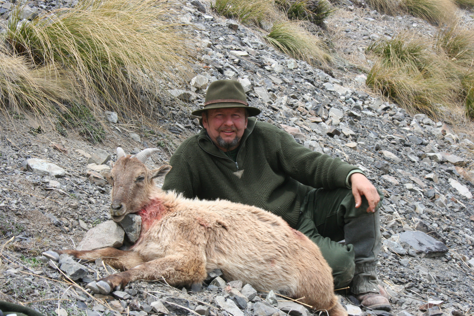 363 Nőivarú tahr 2008 Új Zéland