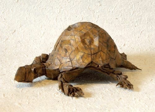 SHAPETurttle