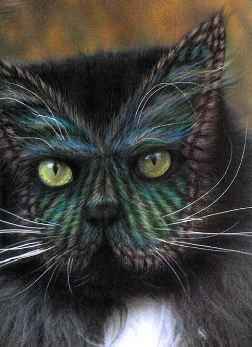 paint-dye-cats-7