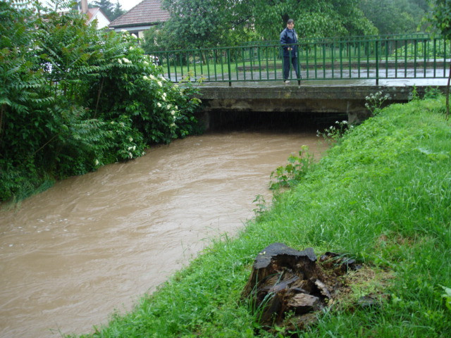árvíz 2010.06.01. 003