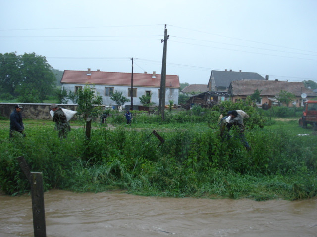 árvíz 2010.06.01. 005