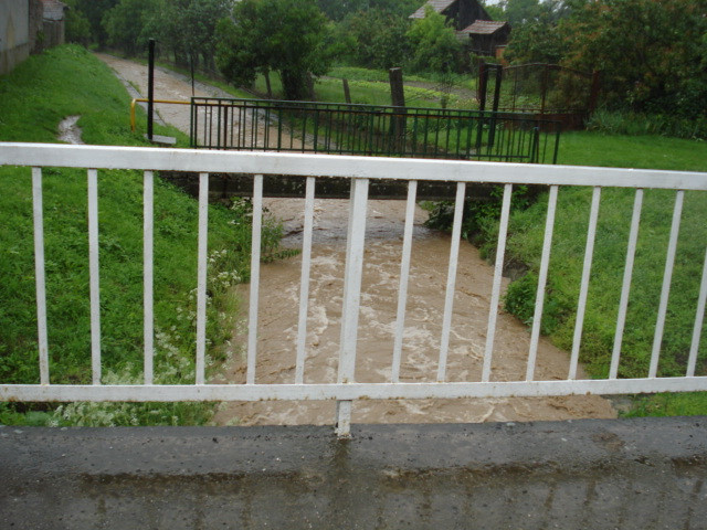 árvíz 2010.06.01. 015
