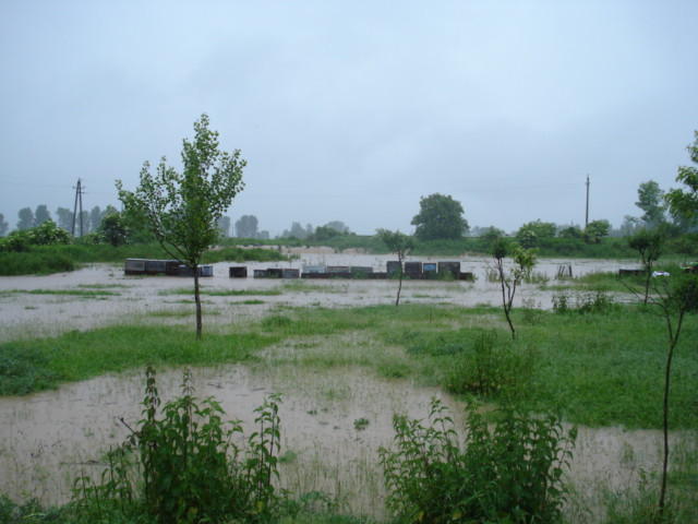 árvíz 2010.06.01. 050