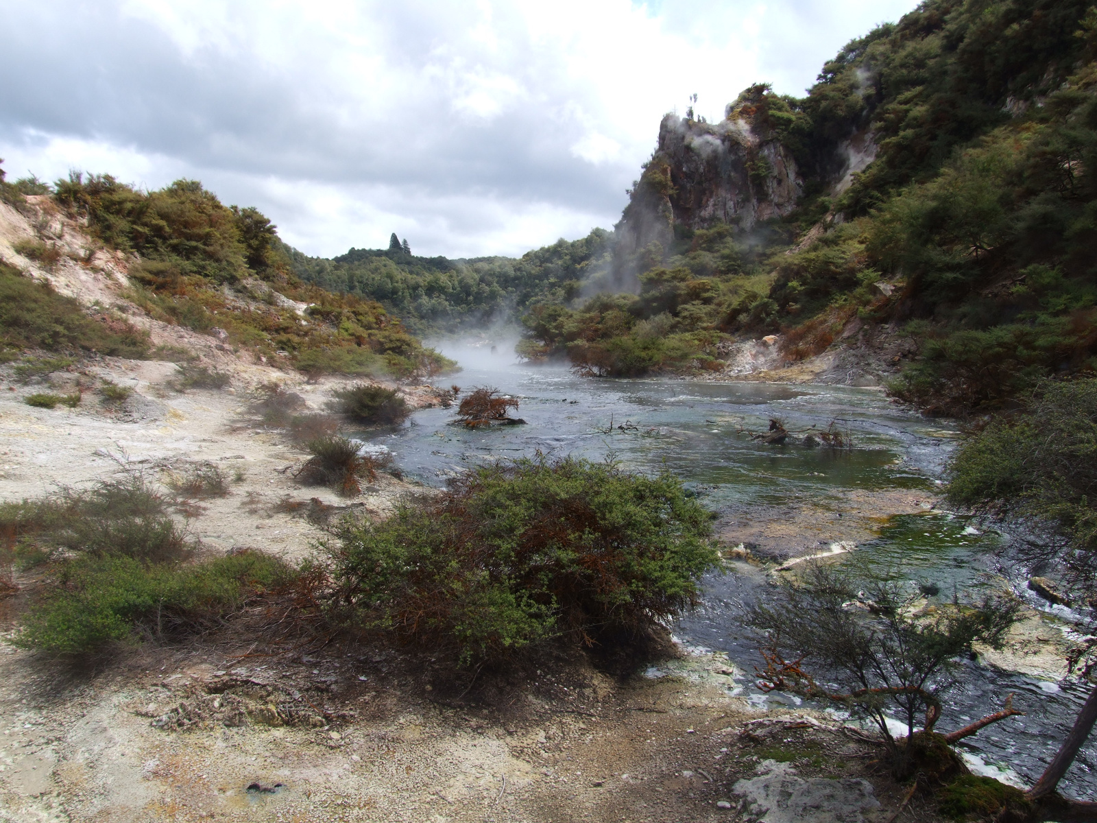 Rotorua és a majdnem 100 fokos patak