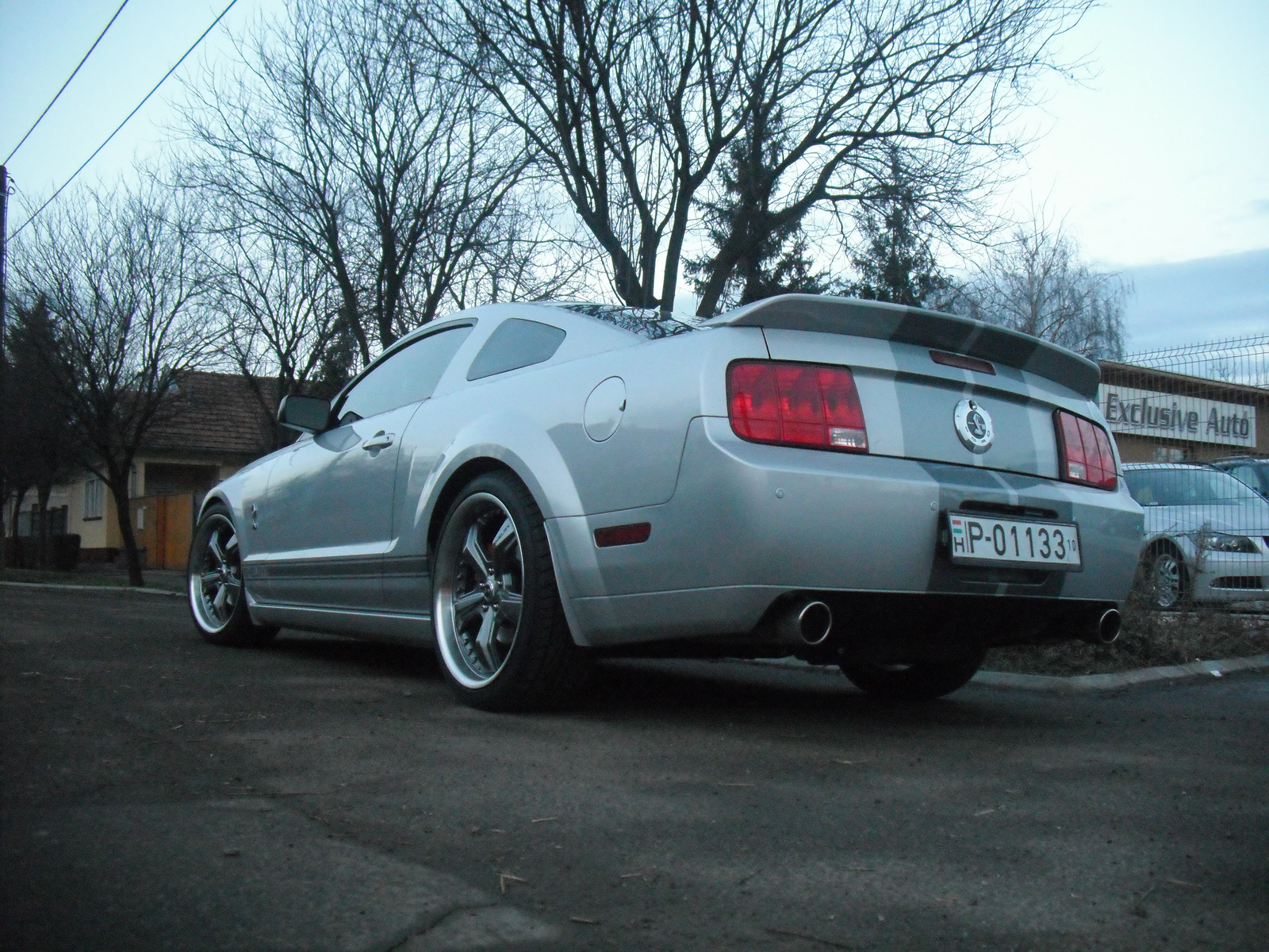 Mustang Shelby