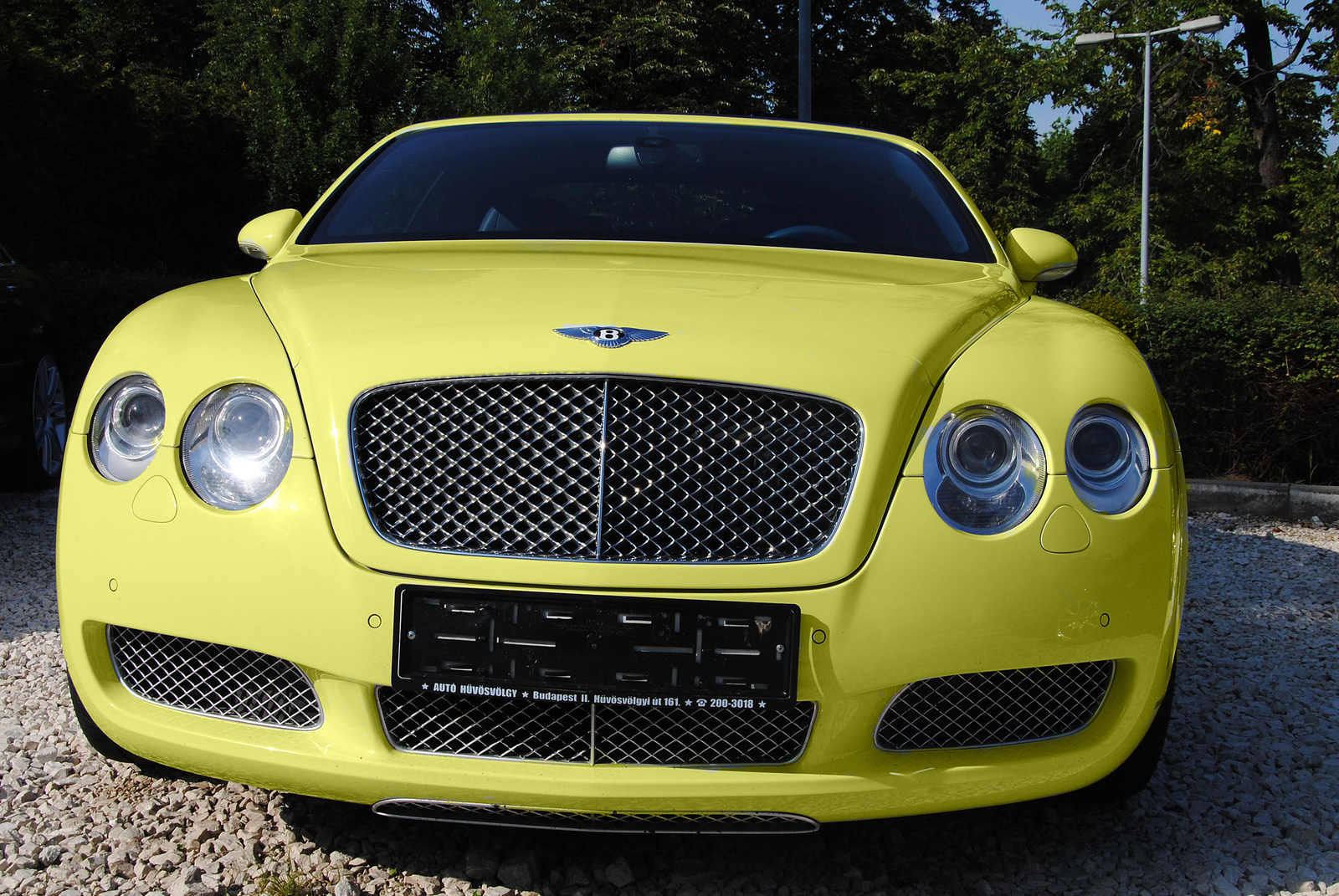 Bentley Continental GTC