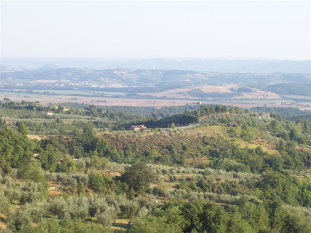 Toscana 178