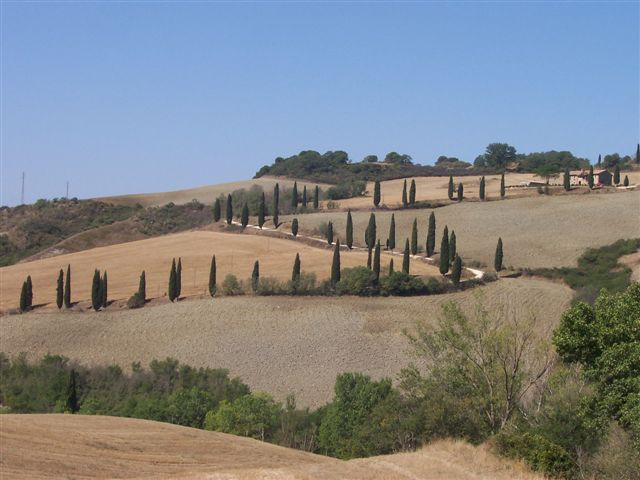 Toscana 209