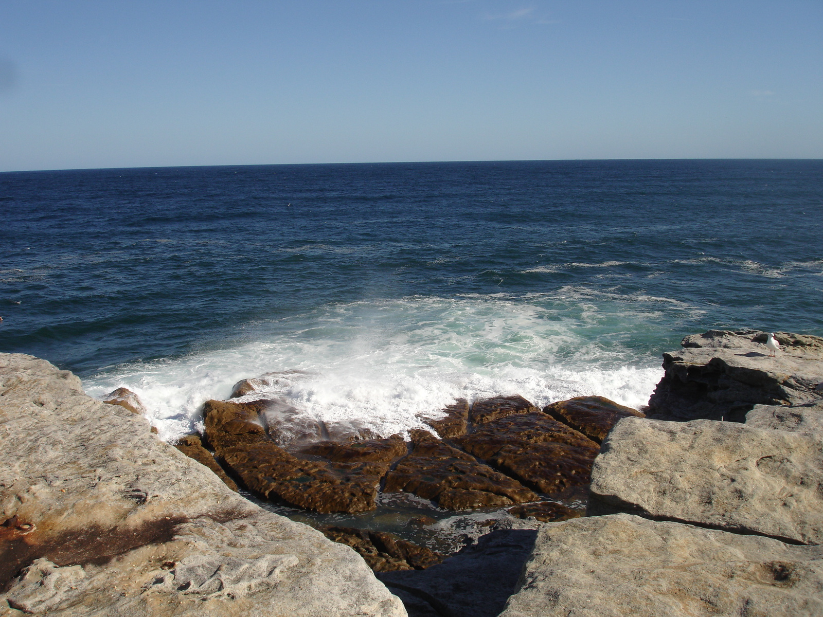 Bondi Beach