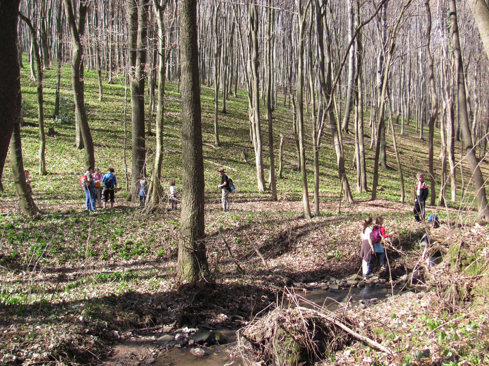 2011.03.14.Éger völgy-Orfű-égervölgy 020