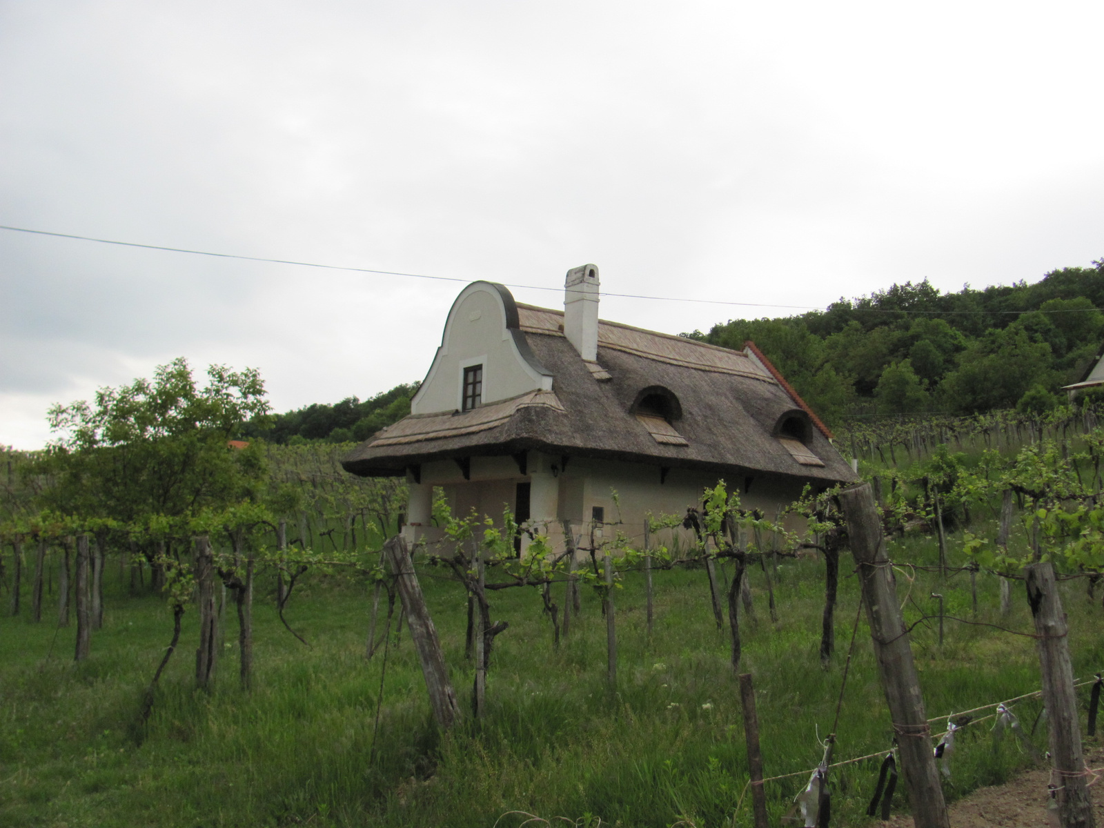 2011.05.08.Óbudavár teljesítménytúra 024