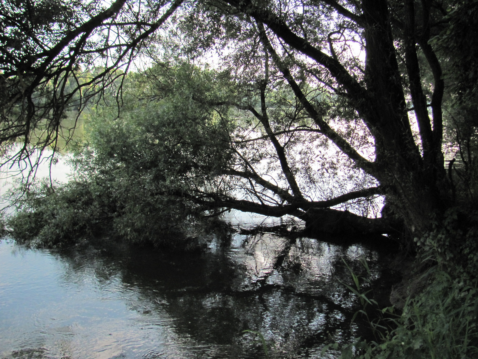 2011.07.31.Bicaj Dráváig 042