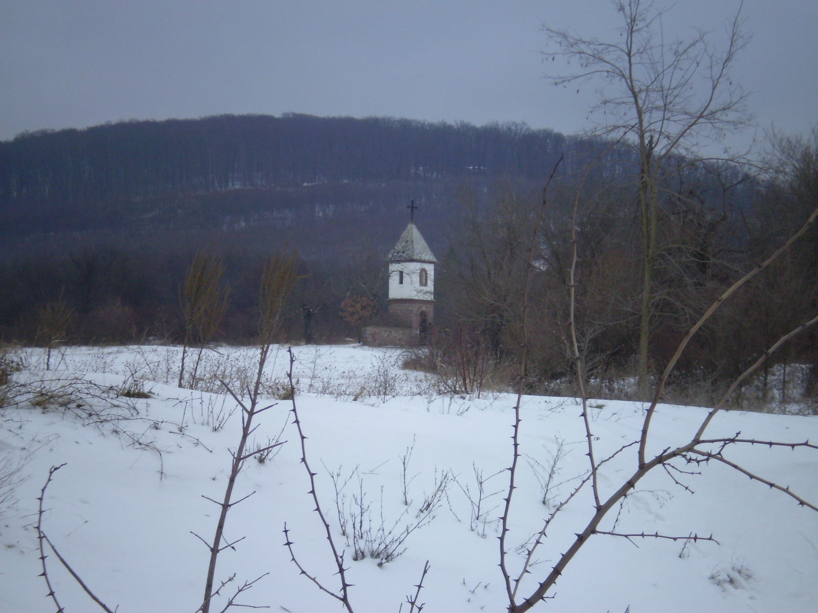 20090221Petőcz felé