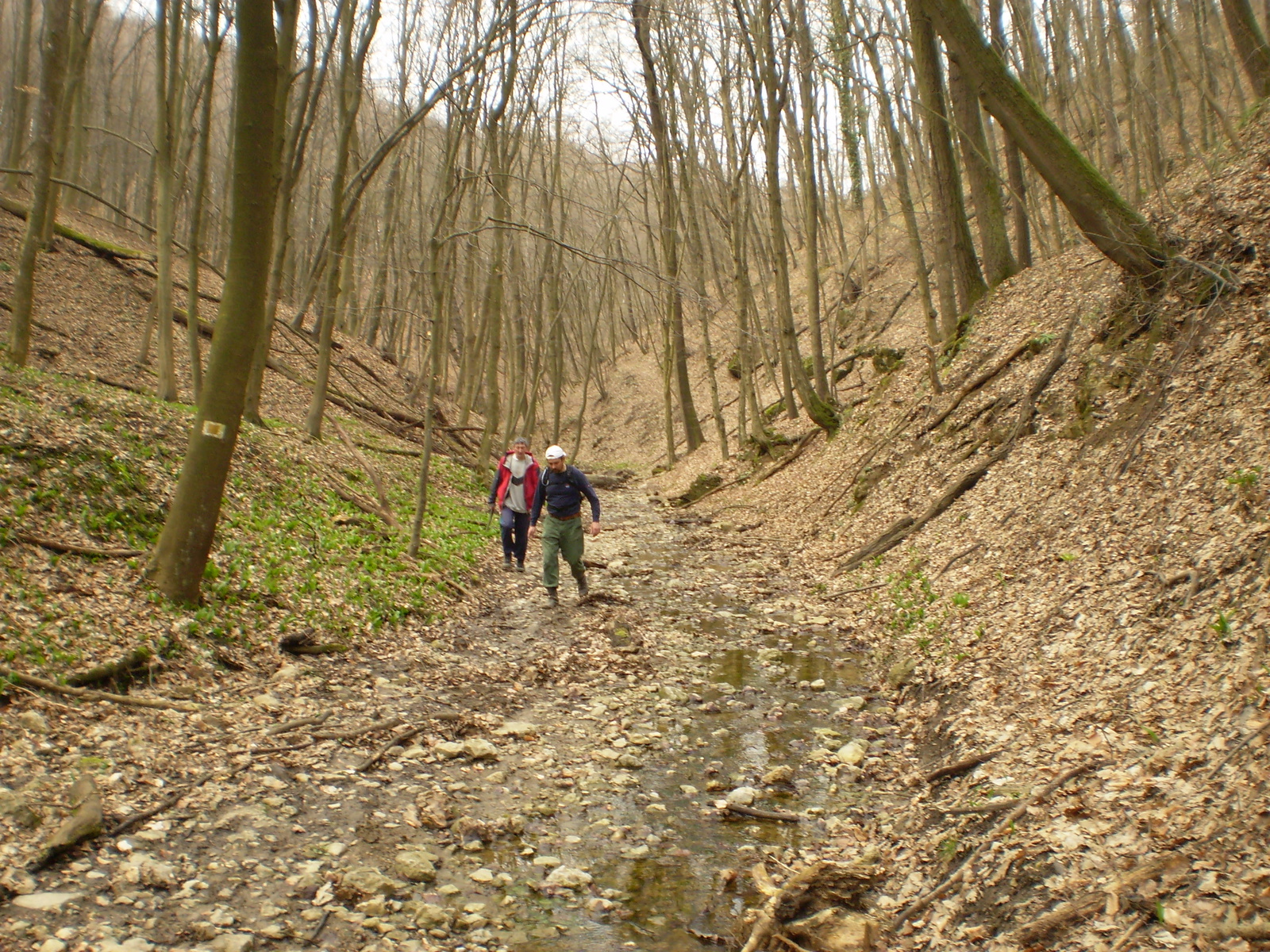 20090315Szuadó40 Bejárás