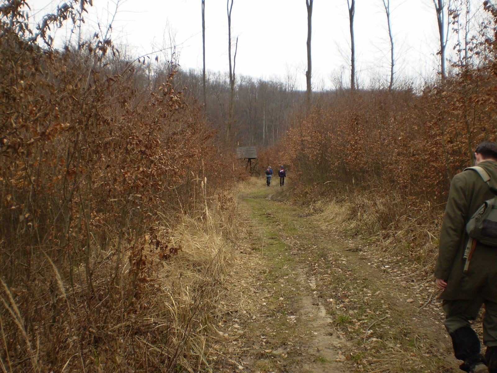 20090315Szuadó40 Bejárás 100