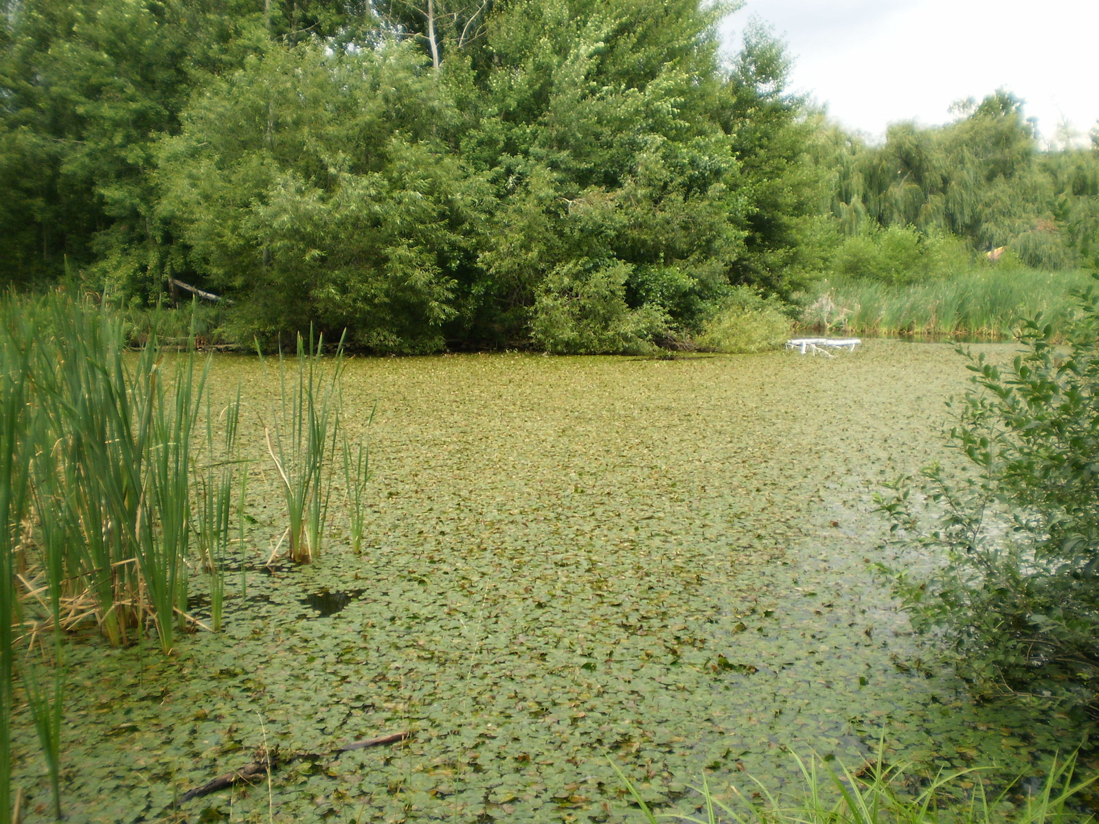 2009.08.13Gyöngyös 105