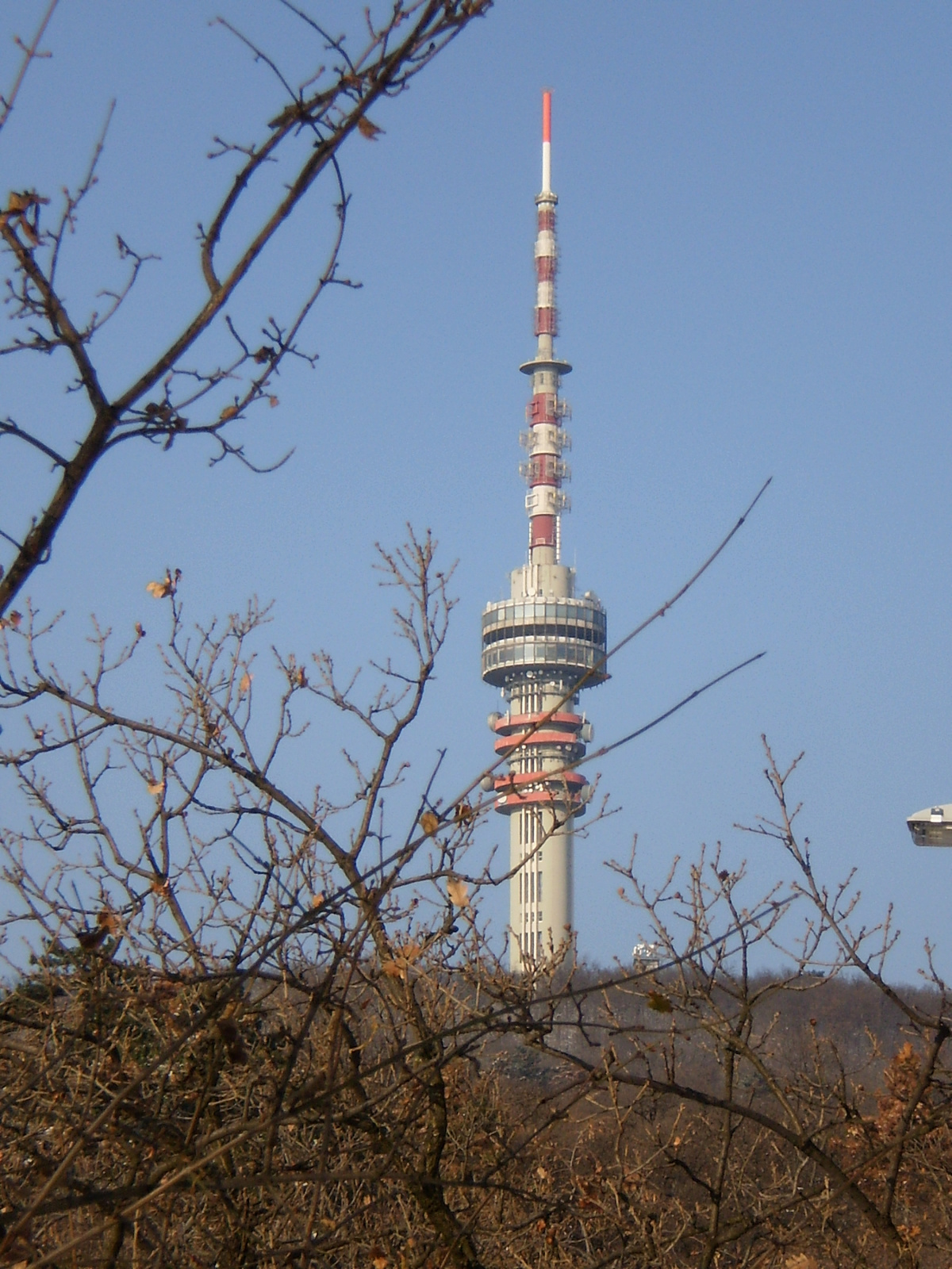 20091220Téli séta a Mecseki parkerdőben 081