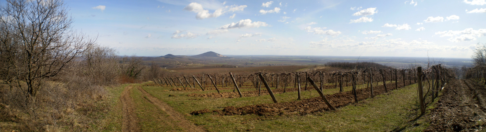 20100227 A Szársomlyó a Csukma hegyi kereszttől