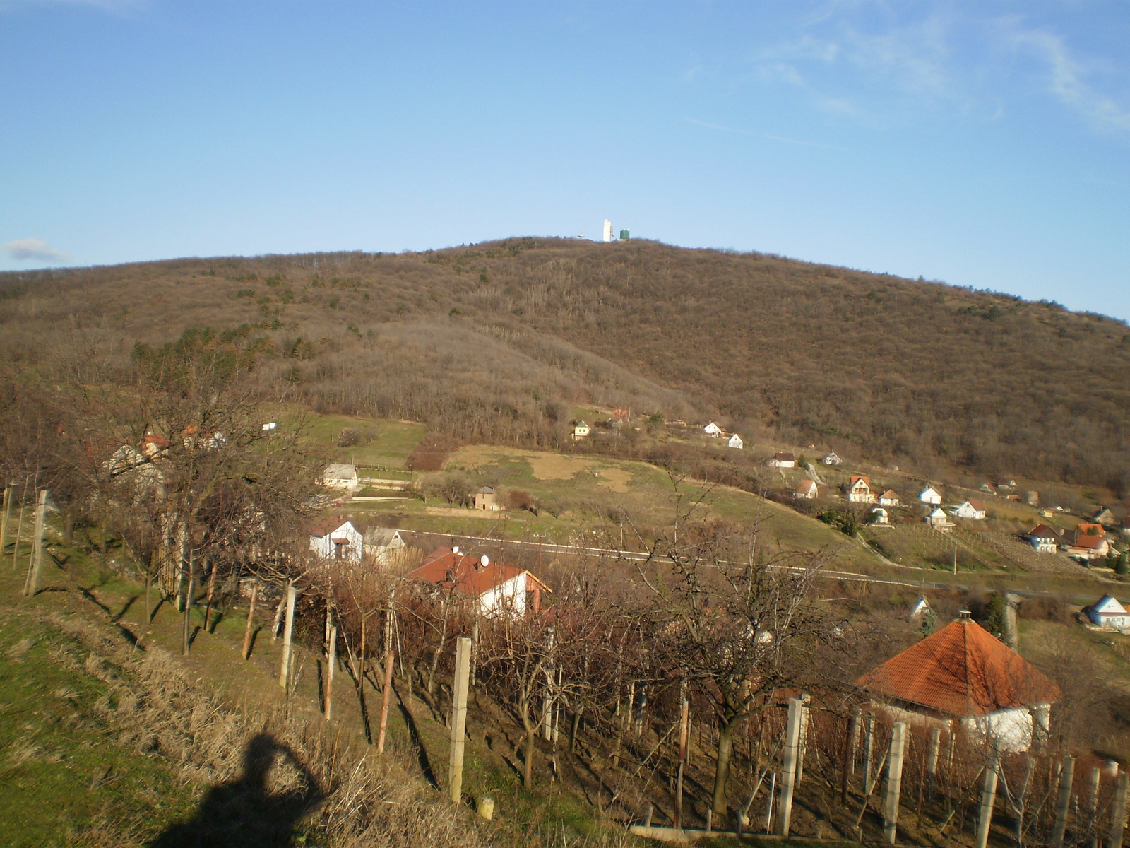 20100227Túrony-Bisse-Csarnóta 120