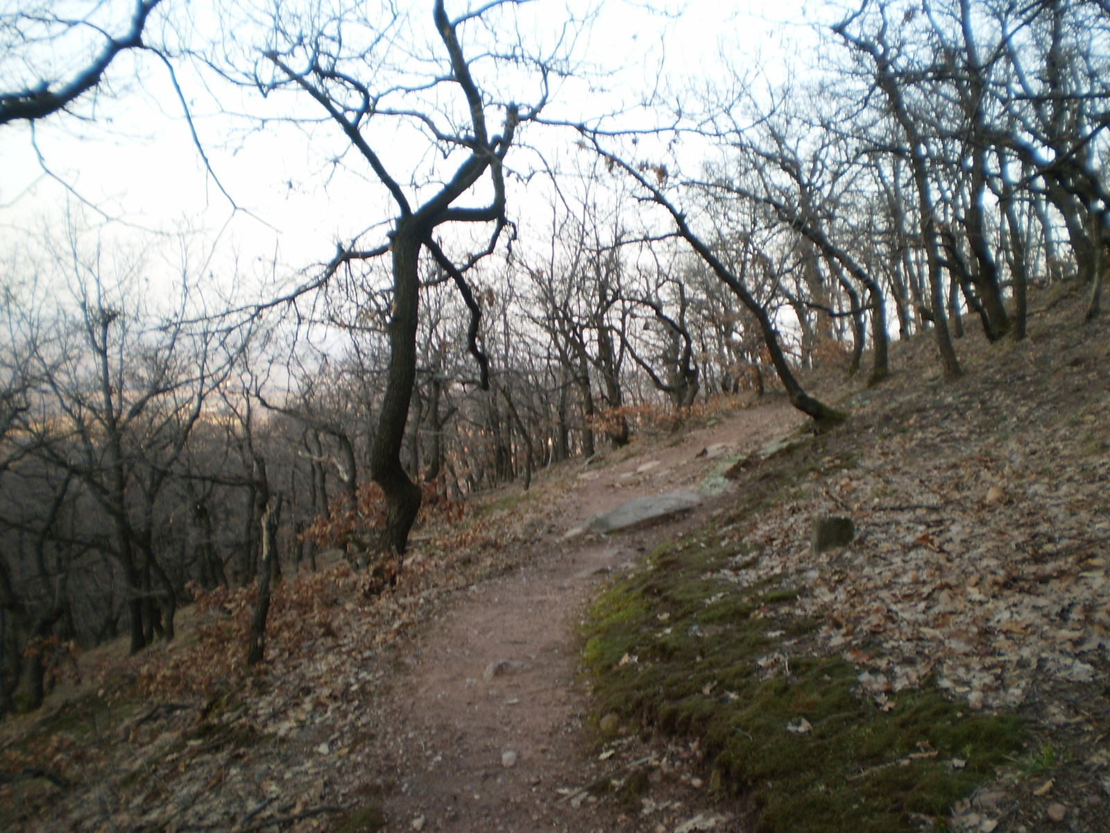 20100320 Panoráma úton a Babás szerkövek felé