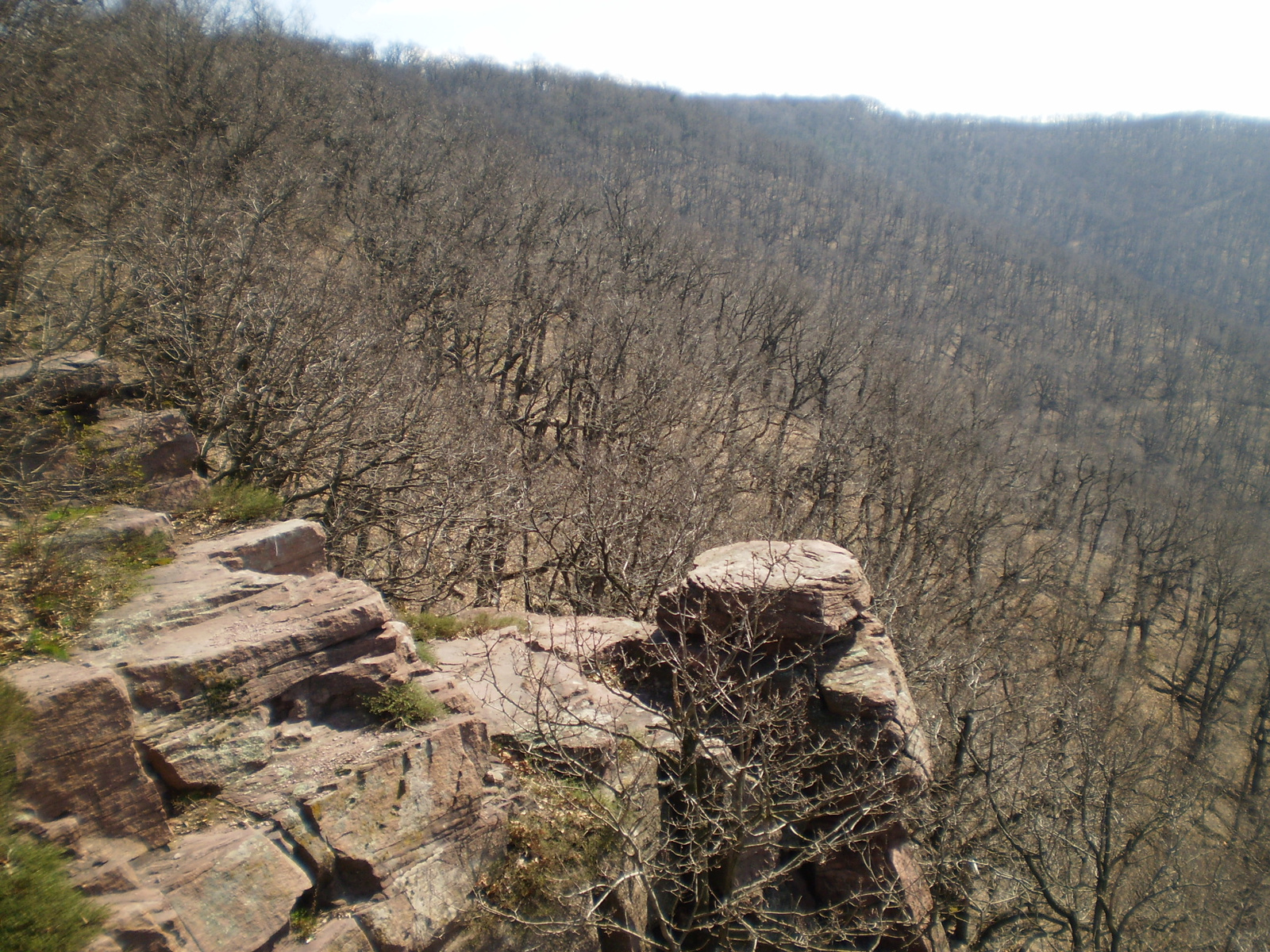 20100403 Jakabhegy Zsongor kő