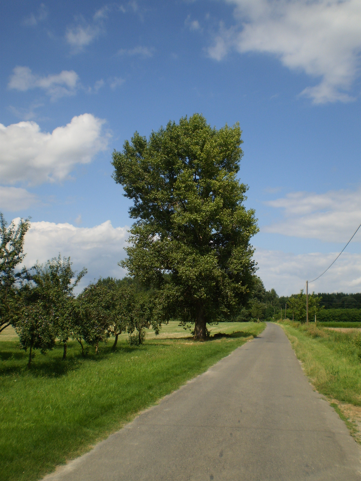 20100808Mohács -Karapancsa bicaj 184