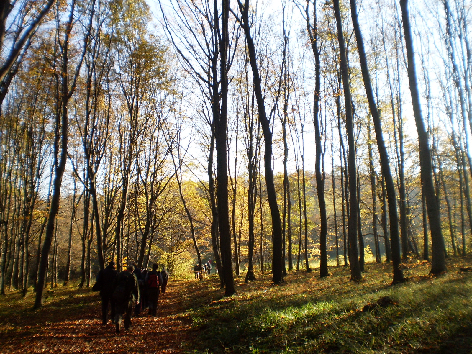 20101030Zobák-Pécsvárad 021