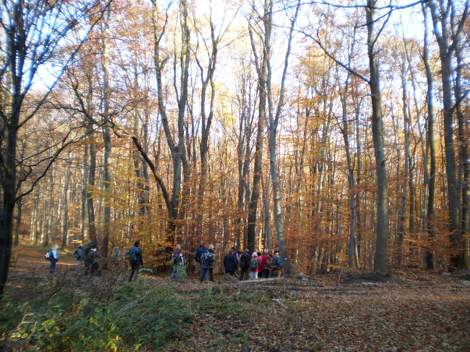 20101030Zobák-Pécsvárad 034