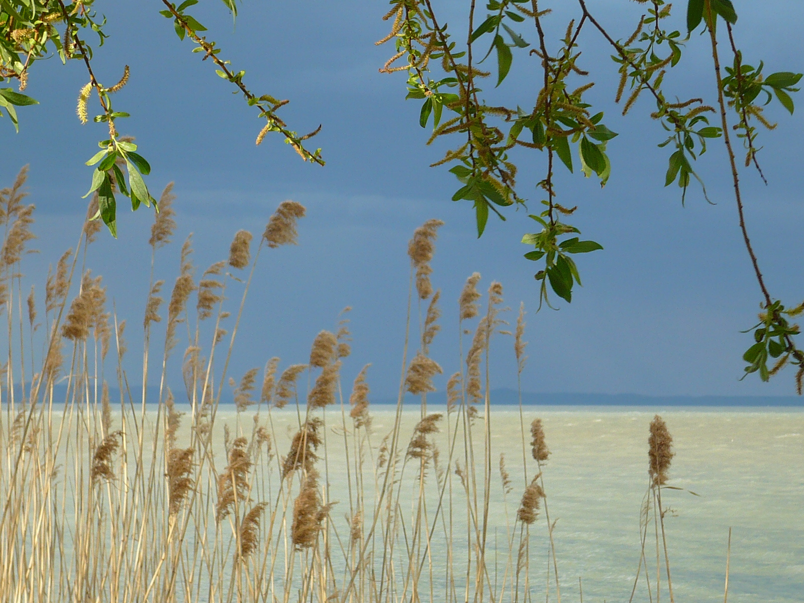 Fénylő Balaton