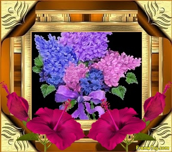 frametoy20100610033213j