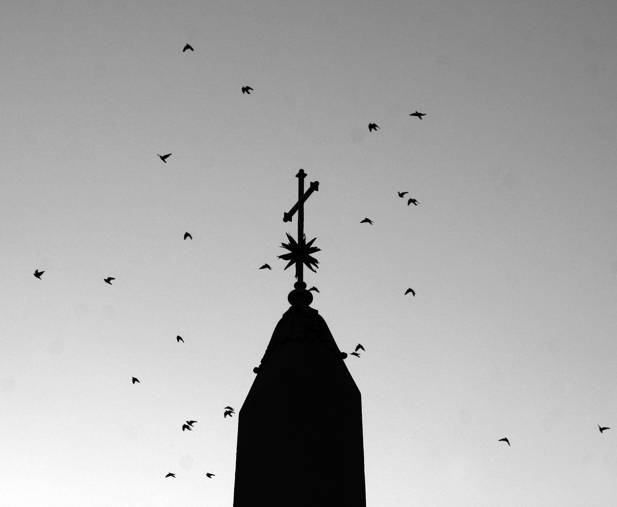 madarak a torony körül