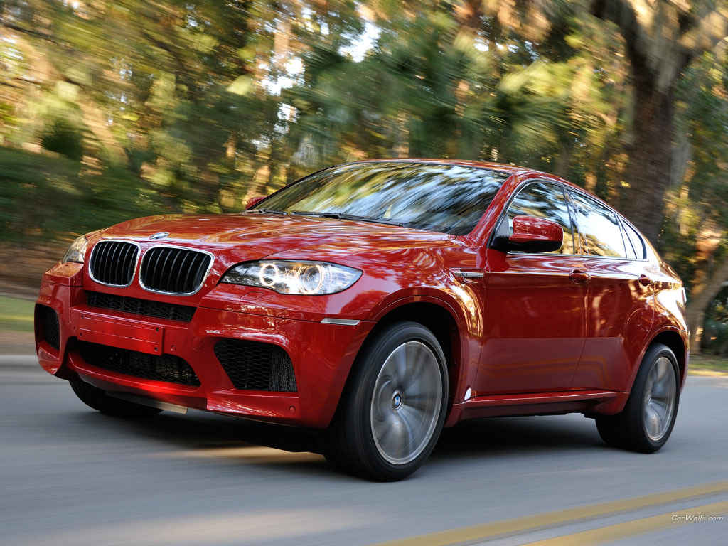 BMW X6 M 1068 1024x768