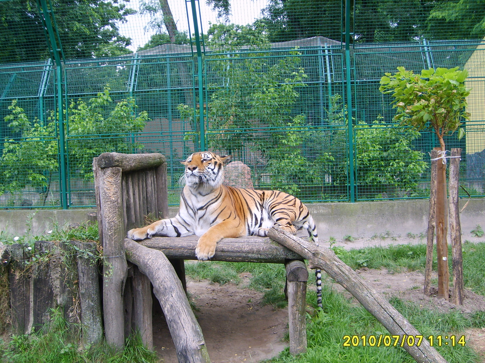 2010 Július 07 Kecskemét, Vadaspark