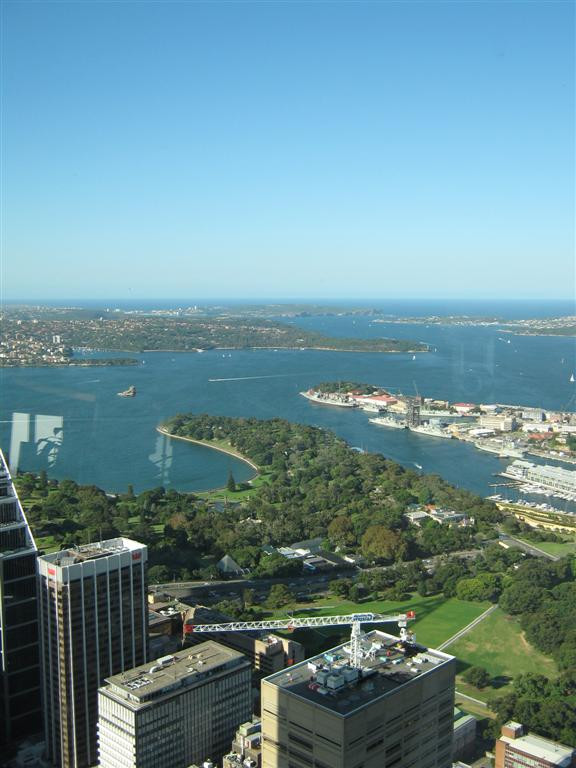 Sydney 265 (Large)