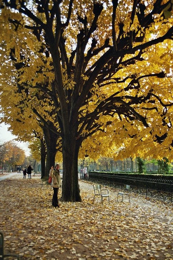 párizsba beszökött az ősz