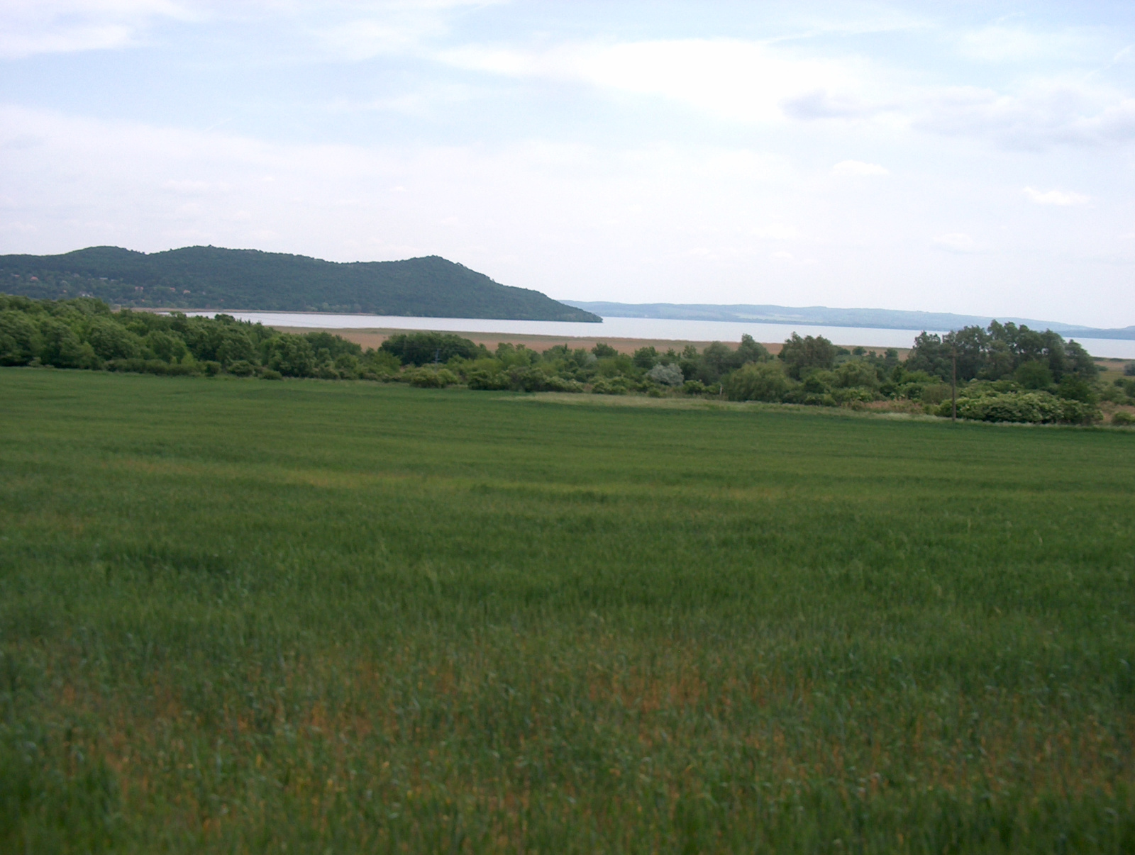 Balaton karika 042