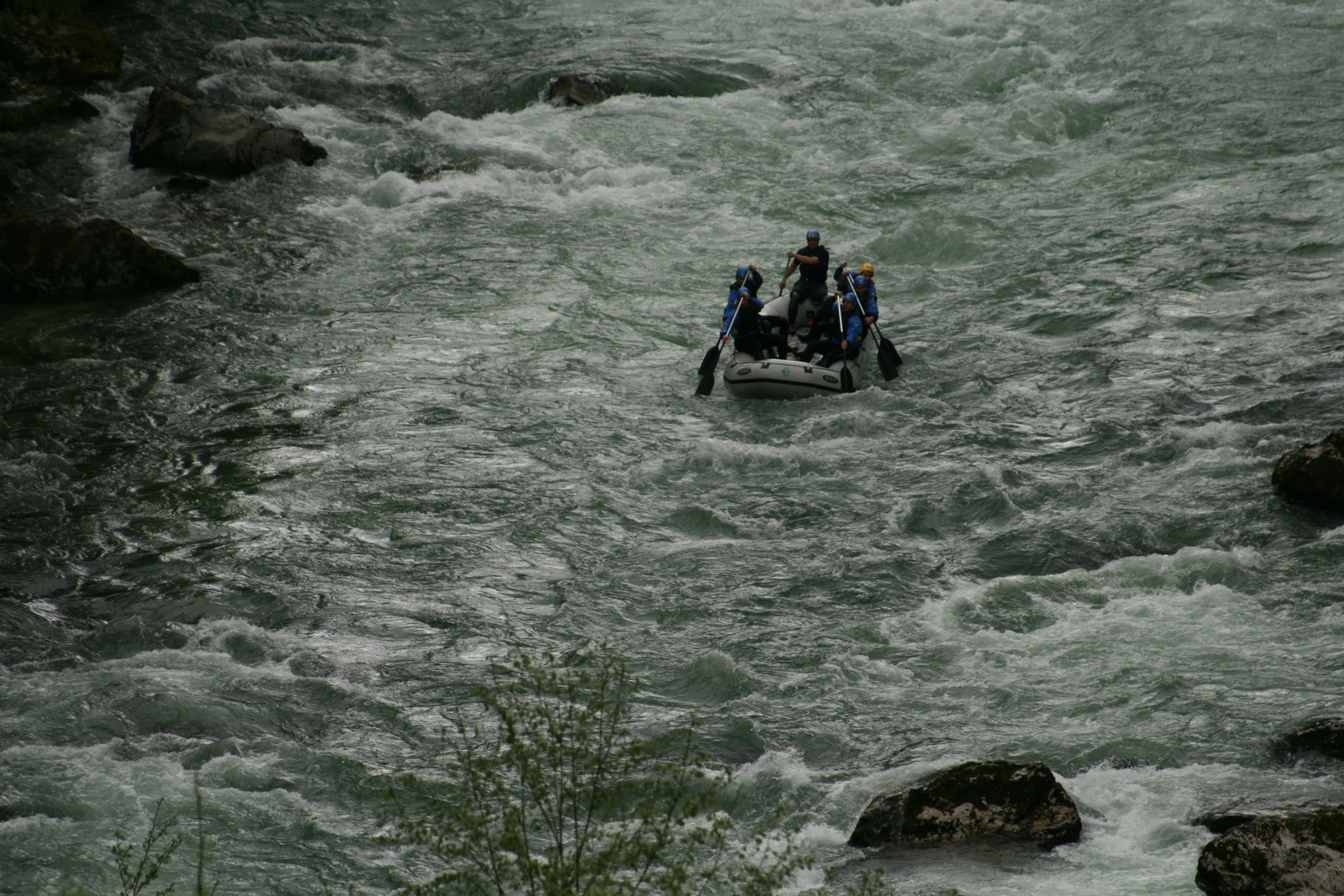 Bohinjka 2.5.09 116