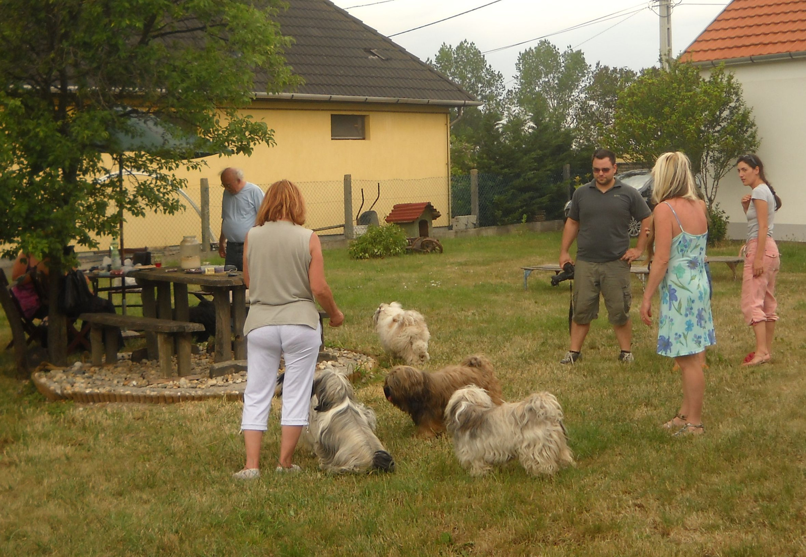 11.06.19.Mágika tanyája 007